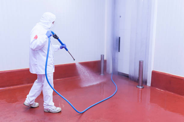 Best Roof Washing  in Beaufort, SC